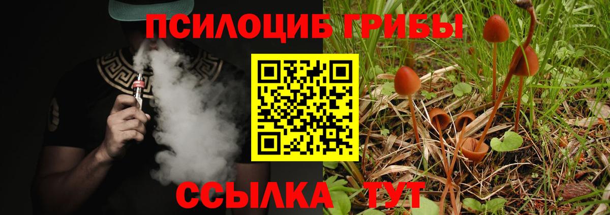 Галлюциногенные грибы Psilocybine cubensis  Псилоцибиновые грибы MAGIC MUSHROOMS  Полысаево  Вход с VPN 